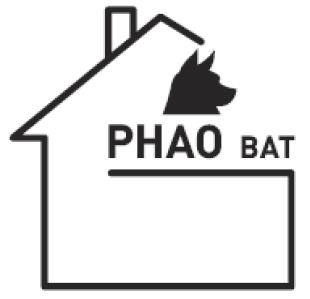 Phao-bat-4